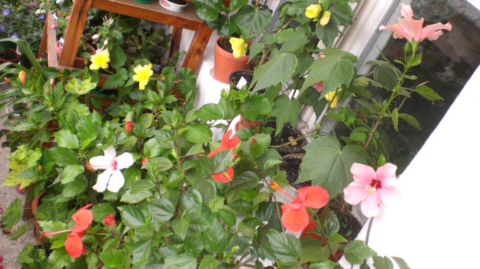 octombrie 2011 148