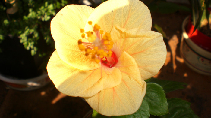 octombrie 2011 152