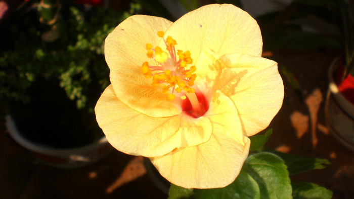 octombrie 2011 153