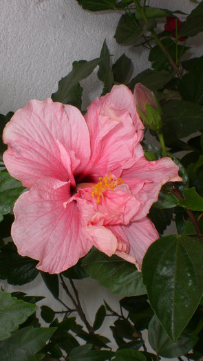 octombrie 2011 234
