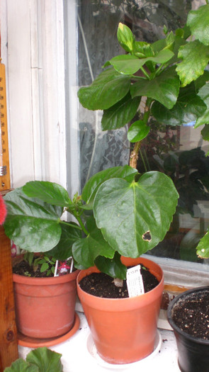 octombrie 2011 238