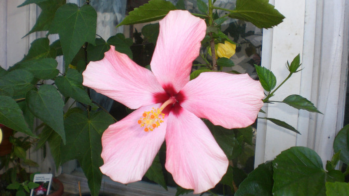 octombrie 2011 269