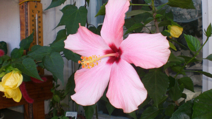 octombrie 2011 270
