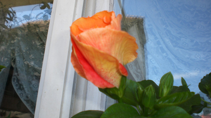 octombrie 2011 271