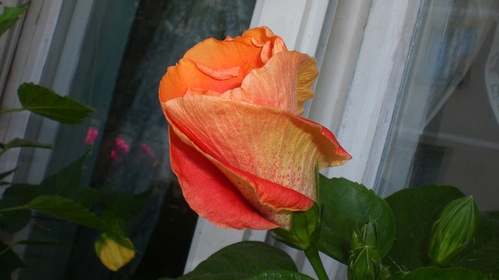 octombrie 2011 272