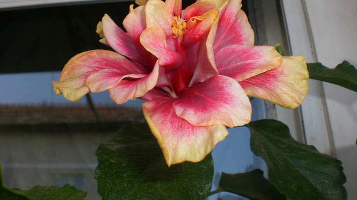 octombrie 2011 414