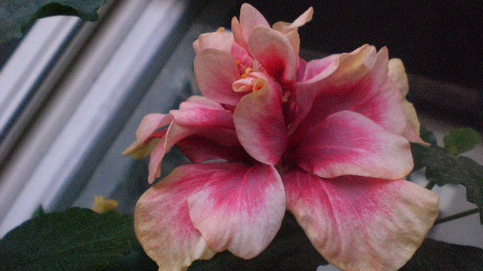 octombrie 2011 422; alwaes true
