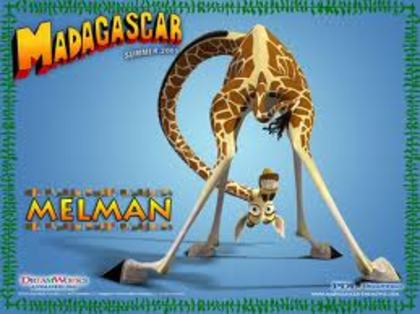 melman - madagascar