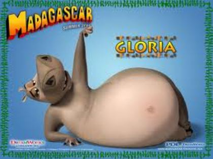 gloria - madagascar