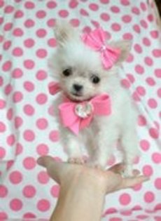 episodul 4 se incheie aici!