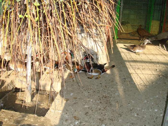 DSC05114
