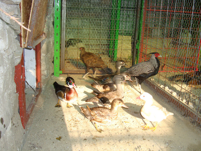 DSC05120