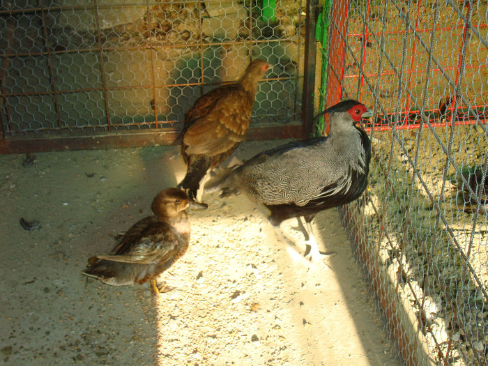 DSC05128