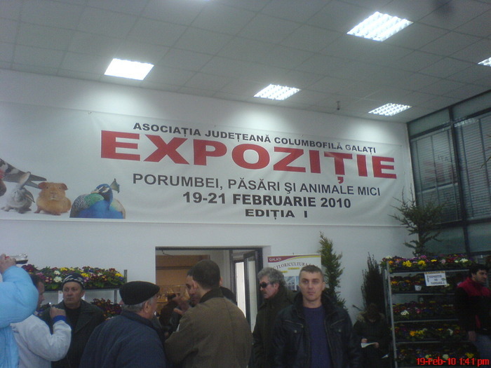 februarie 2010 - G EXPOZITII AJC Galati