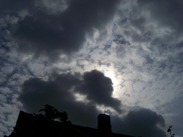 100_9833 - Octombrie 2011 flori