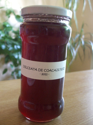 1 - dulceata de coacaze rosii