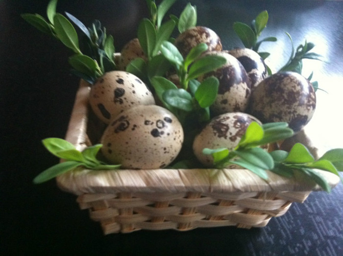 cosulet cu oua prepelita - prepelite