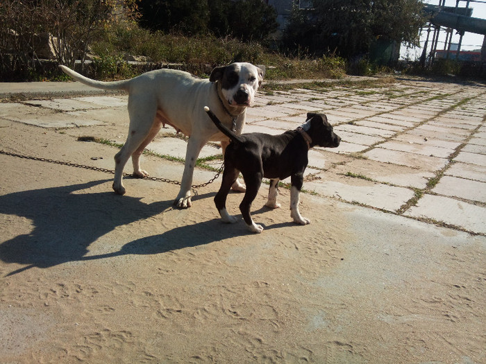 Photo443 - Sara si Leo