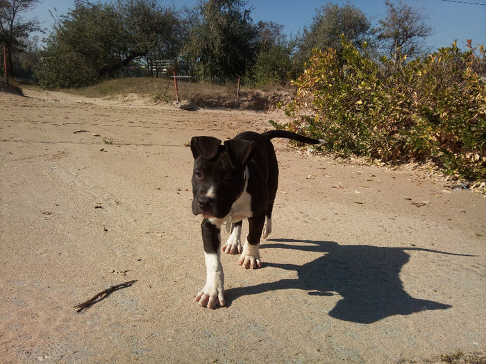 Photo444 - Sara si Leo