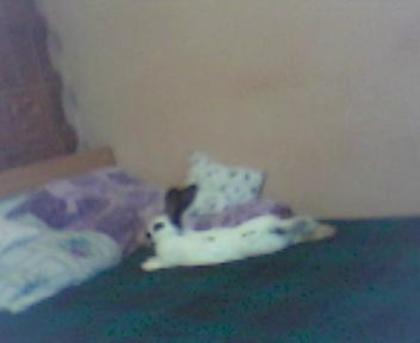 Picture 027