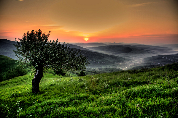 img-1401-2-0 - POZE DESKTOP