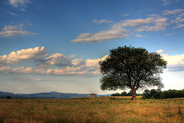 img-2307-8-9 - POZE DESKTOP