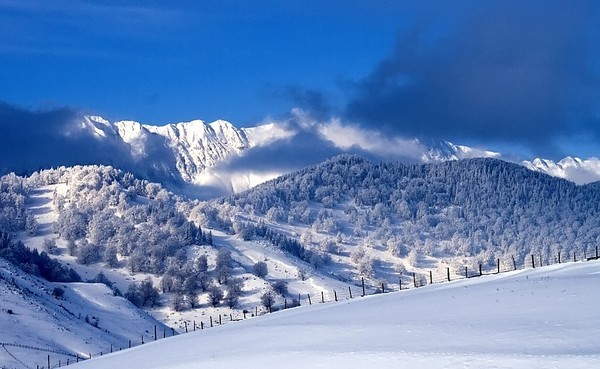 mg-4605-d - POZE DESKTOP