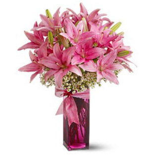 Crini-Roz-poza-t-P-n-Crini-Roz-mare - poze flori