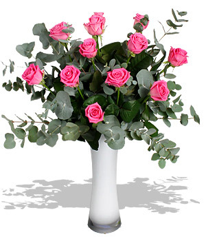 Extaz-Roz--poza-t-P-n-Trand roz mare - poze flori