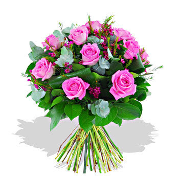 trandafiri-roz-poza-t-p-n-d_311 - poze flori