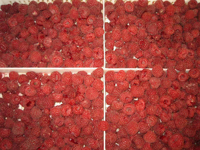 Gem de zmeura.sept.2011; Zmeura 1kg,zahar 1kg,lamaie
