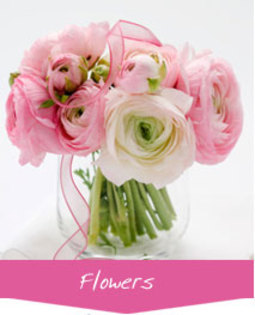flowers_menu - poze flori