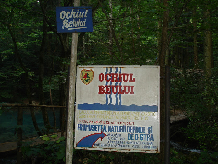 Rezervatia Cheile Nerei-Beusnita - Cheile Nerei-Beusnita