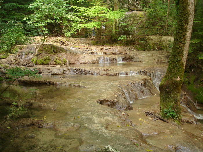 Rezervatia Cheile Nerei-Beusnita