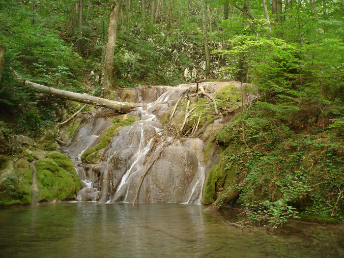 Rezervatia Cheile Nerei-Beusnita