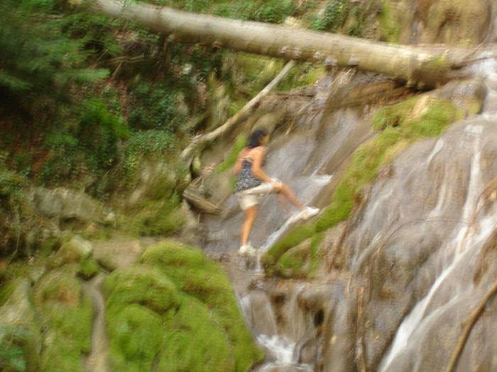 Rezervatia Cheile Nerei-Beusnita