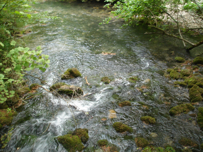 Rezervatia Cheile Nerei-Beusnita