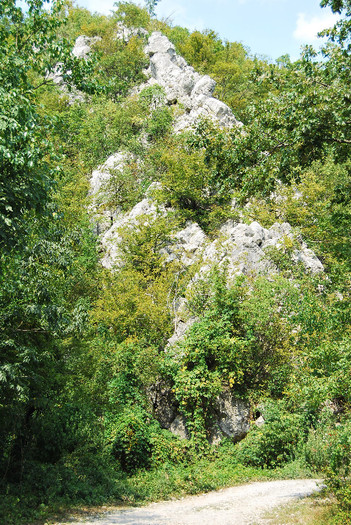 Rezervatia Cheile Nerei-Beusnita