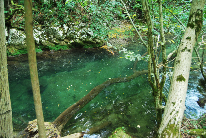 Rezervatia Cheile Nerei-Beusnita