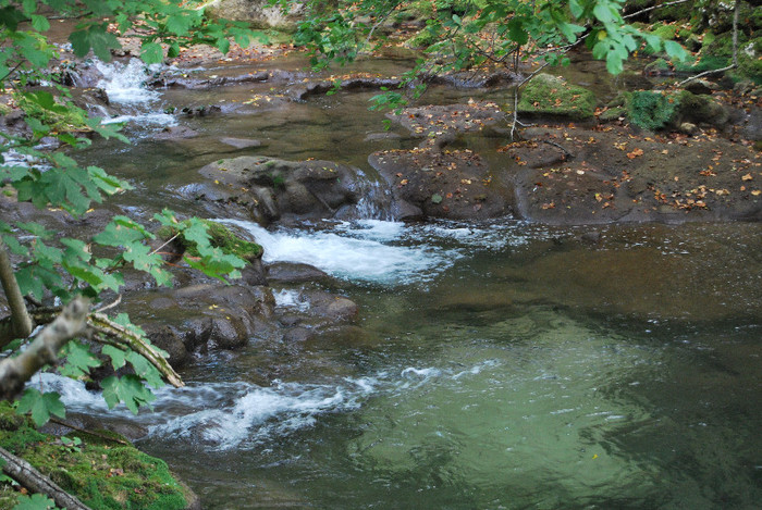 Rezervatia Cheile Nerei-Beusnita