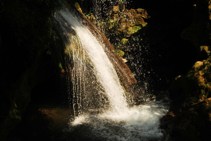 Rezervatia Cheile Nerei-Beusnita