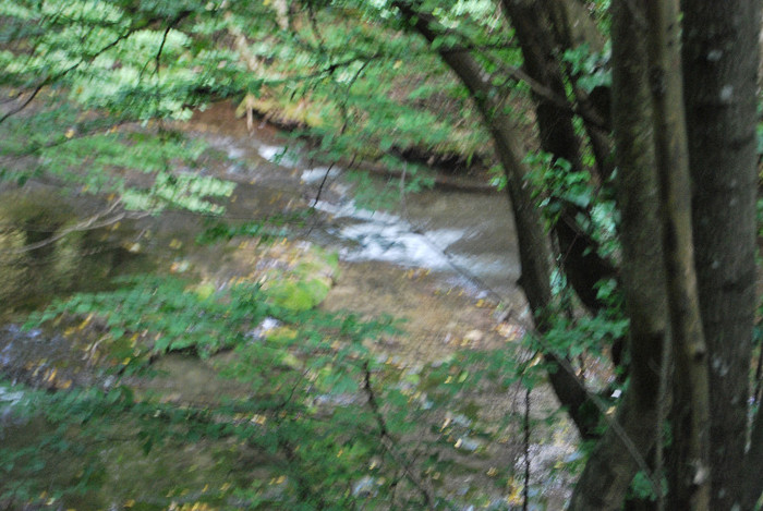 Rezervatia Cheile Nerei-Beusnita