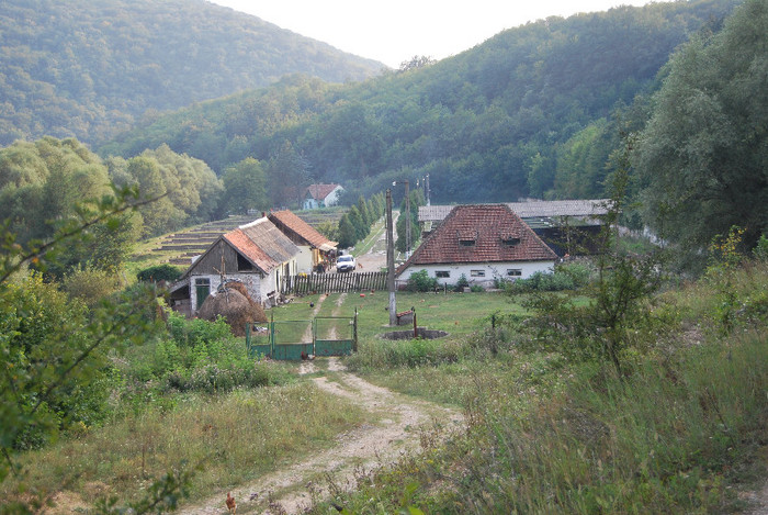 Rezervatia Cheile Nerei-Beusnita; Pastravaria
