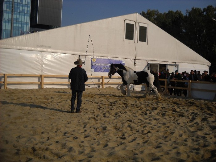 DSCN1799 - Z - Indagra 2011