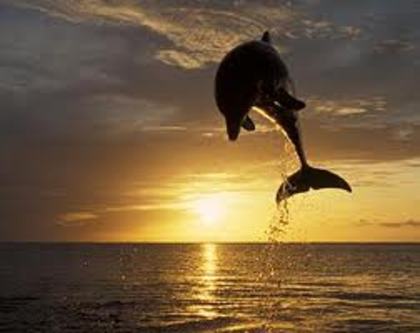 17 - rasarit de soare