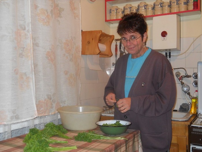 portionare buruieni - diverse ipostaze