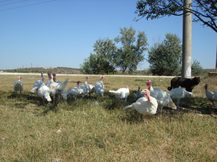 360 - septembrie 2011