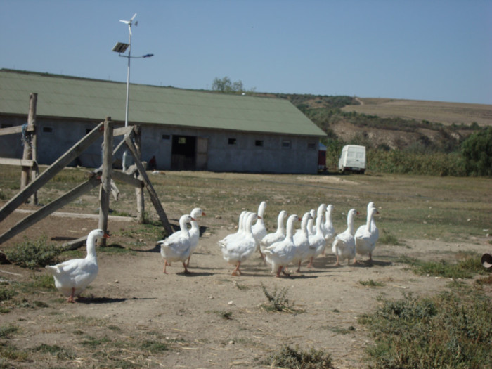 372 - septembrie 2011