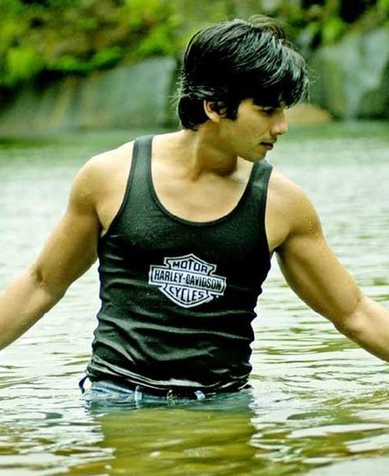 sasha (54) - Shahid Kapoor