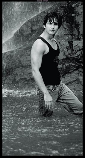 sasha (65) - Shahid Kapoor